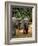 Asian Elephants in Khao Yi National Park, Thailand-Gavriel Jecan-Framed Photographic Print