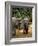 Asian Elephants in Khao Yi National Park, Thailand-Gavriel Jecan-Framed Photographic Print