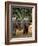 Asian Elephants in Khao Yi National Park, Thailand-Gavriel Jecan-Framed Photographic Print