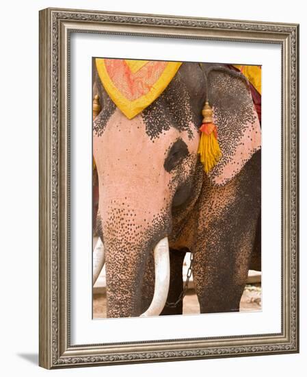 Asian Elephants Transportation, Ayuthaya, Thailand-Gavriel Jecan-Framed Photographic Print