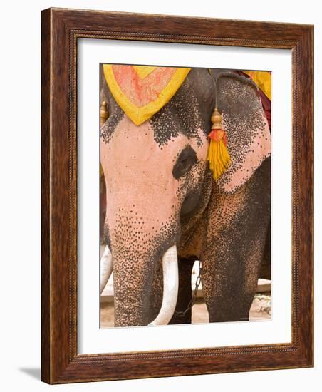 Asian Elephants Transportation, Ayuthaya, Thailand-Gavriel Jecan-Framed Photographic Print