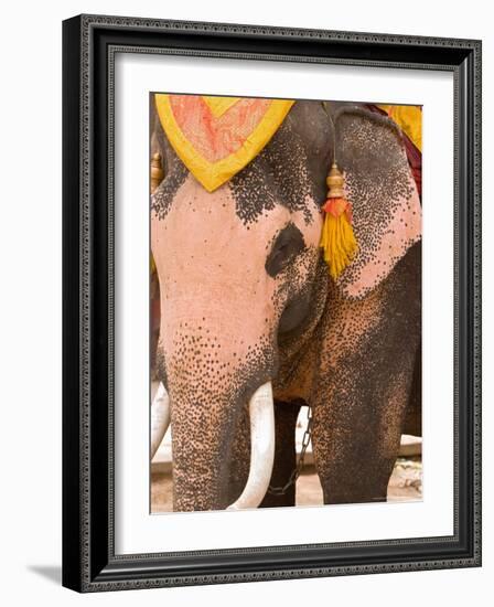 Asian Elephants Transportation, Ayuthaya, Thailand-Gavriel Jecan-Framed Photographic Print