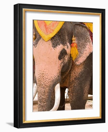 Asian Elephants Transportation, Ayuthaya, Thailand-Gavriel Jecan-Framed Photographic Print