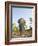 Asian Indian Elephant Bandhavgarh National Park, India. 2007-Tony Heald-Framed Photographic Print