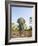 Asian Indian Elephant Bandhavgarh National Park, India. 2007-Tony Heald-Framed Photographic Print