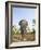 Asian Indian Elephant Bandhavgarh National Park, India. 2007-Tony Heald-Framed Photographic Print