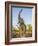 Asian Indian Elephant Holding Trunk in the Air, Bandhavgarh National Park, India. 2007-Tony Heald-Framed Photographic Print