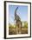 Asian Indian Elephant Holding Trunk in the Air, Bandhavgarh National Park, India. 2007-Tony Heald-Framed Photographic Print