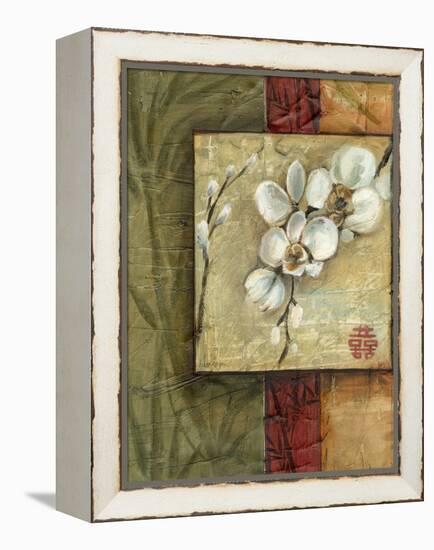 Asian Orchids I-Ethan Harper-Framed Stretched Canvas