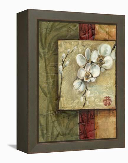 Asian Orchids I-Ethan Harper-Framed Stretched Canvas