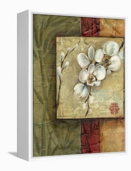 Asian Orchids I-Ethan Harper-Framed Stretched Canvas