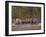 Asiatic Lionesses and Cubs Drinking from Pool, Gir Forest NP, Gujarat, India-Uri Golman-Framed Photographic Print