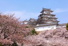 Japan Castle with Pink Cherry Blossoms Flower-aslysun-Framed Photographic Print