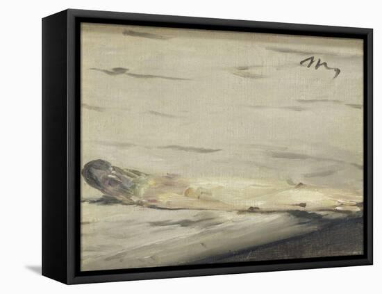 Asparagus, 1880-Edouard Manet-Framed Premier Image Canvas