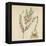 'Asparagus', 1947-Elizabeth Blackwell-Framed Premier Image Canvas