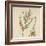 'Asparagus', 1947-Elizabeth Blackwell-Framed Giclee Print