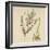 'Asparagus', 1947-Elizabeth Blackwell-Framed Giclee Print