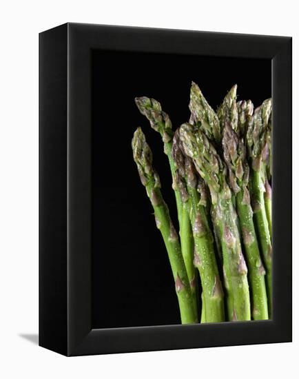 Asparagus Bundle (Asparagus Officinalis), Italy-Nico Tondini-Framed Premier Image Canvas