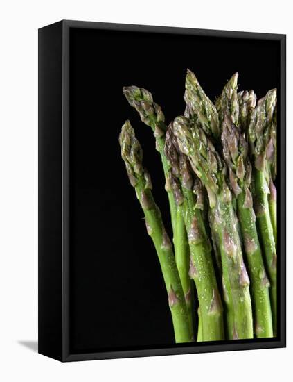 Asparagus Bundle (Asparagus Officinalis), Italy-Nico Tondini-Framed Premier Image Canvas