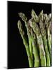 Asparagus Bundle (Asparagus Officinalis), Italy-Nico Tondini-Mounted Photographic Print