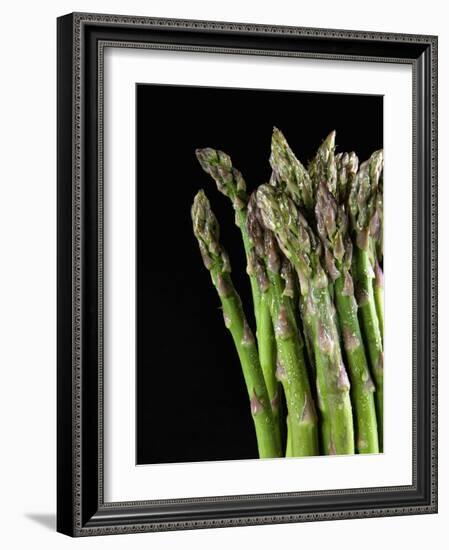Asparagus Bundle (Asparagus Officinalis), Italy-Nico Tondini-Framed Photographic Print