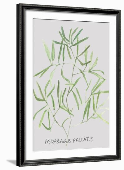 Asparagus Falcatus-Katrien Soeffers-Framed Giclee Print