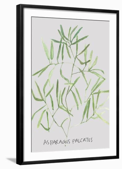 Asparagus Falcatus-Katrien Soeffers-Framed Giclee Print