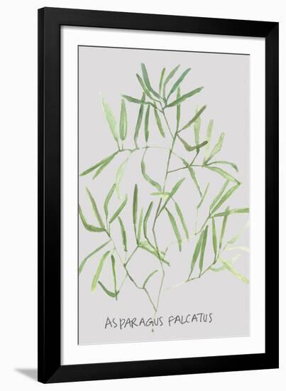 Asparagus Falcatus-Katrien Soeffers-Framed Giclee Print