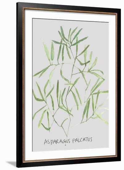 Asparagus Falcatus-Katrien Soeffers-Framed Giclee Print