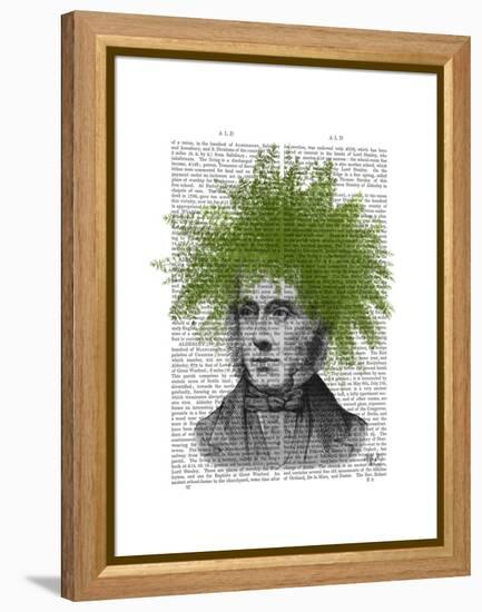 Asparagus Fern Head Plant Head-Fab Funky-Framed Stretched Canvas