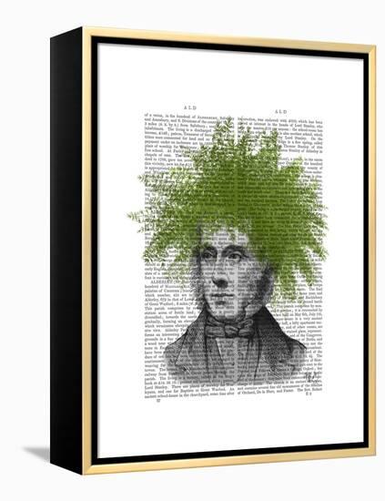 Asparagus Fern Head Plant Head-Fab Funky-Framed Stretched Canvas