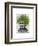 Asparagus Fern Head Plant Head-Fab Funky-Framed Art Print