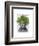 Asparagus Fern Head Plant Head-Fab Funky-Framed Art Print