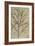 Asparagus. from 'Camerarius Florilegium'-Joachim Camerarius-Framed Giclee Print