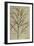 Asparagus. from 'Camerarius Florilegium'-Joachim Camerarius-Framed Giclee Print