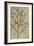 Asparagus. from 'Camerarius Florilegium'-Joachim Camerarius-Framed Giclee Print