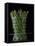 Asparagus in Steamer, 1994-Norman Hollands-Framed Premier Image Canvas