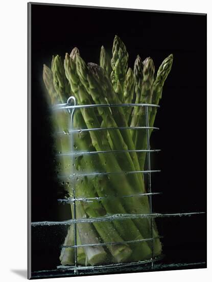 Asparagus in Steamer, 1994-Norman Hollands-Mounted Photographic Print