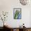 Asparagus Spears-Jon Stokes-Framed Premier Image Canvas displayed on a wall