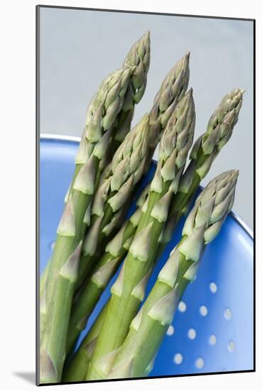 Asparagus Spears-Jon Stokes-Mounted Photographic Print