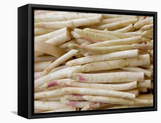 Asparagus, Warnemunde, Germany-Russell Young-Framed Premier Image Canvas