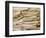 Asparagus, Warnemunde, Germany-Russell Young-Framed Photographic Print