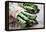 Asparagus-Molka-Framed Premier Image Canvas