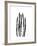 Asparagus-Albert Koetsier-Framed Premium Giclee Print