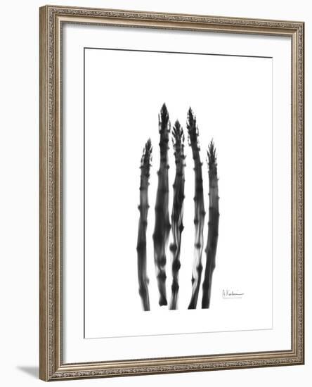 Asparagus-Albert Koetsier-Framed Premium Giclee Print