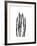 Asparagus-Albert Koetsier-Framed Premium Giclee Print