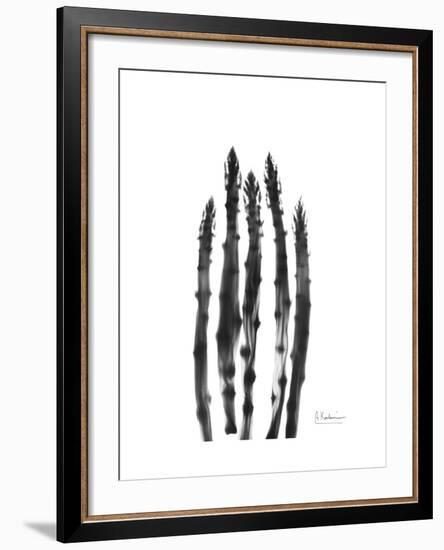 Asparagus-Albert Koetsier-Framed Premium Giclee Print