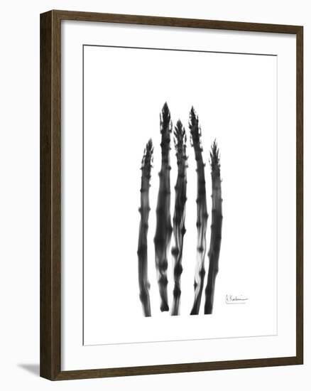 Asparagus-Albert Koetsier-Framed Premium Giclee Print