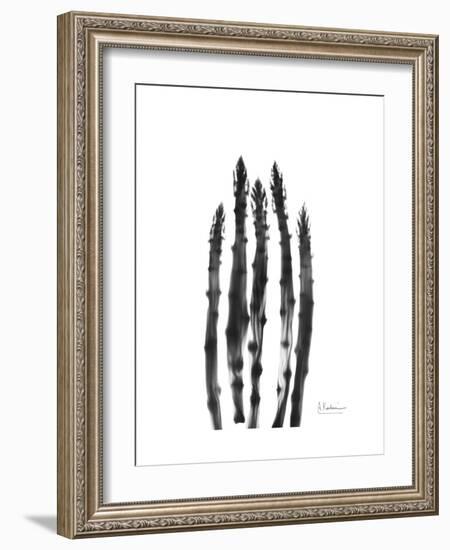 Asparagus-Albert Koetsier-Framed Premium Giclee Print