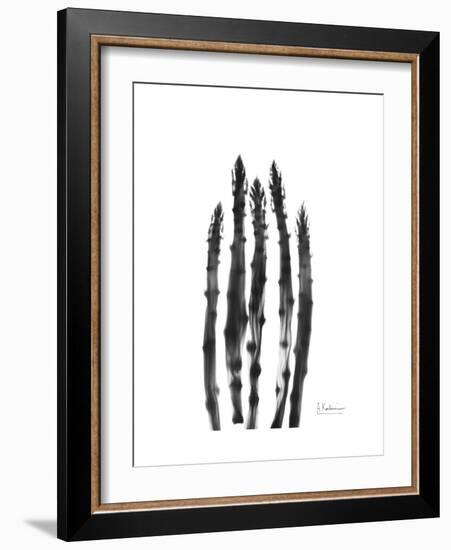 Asparagus-Albert Koetsier-Framed Premium Giclee Print